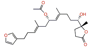 10-Acetylirciformonin B